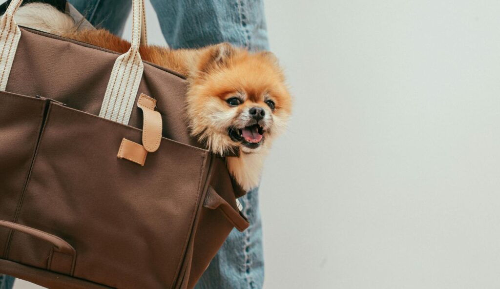 How to Tell the Difference During Travel