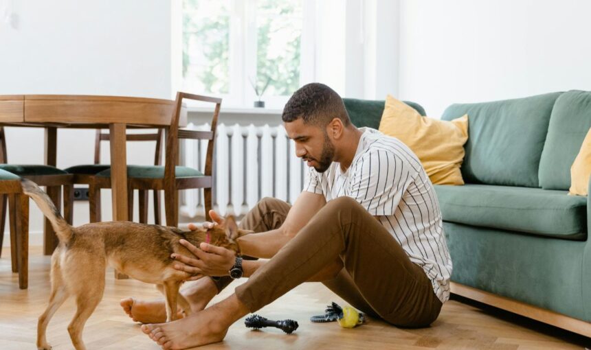 7 Hidden Travel Toxins: What Every Pet Owner Misses When Booking a Rental