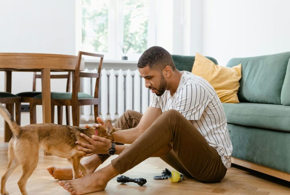 7 Hidden Travel Toxins: What Every Pet Owner Misses When Booking a Rental