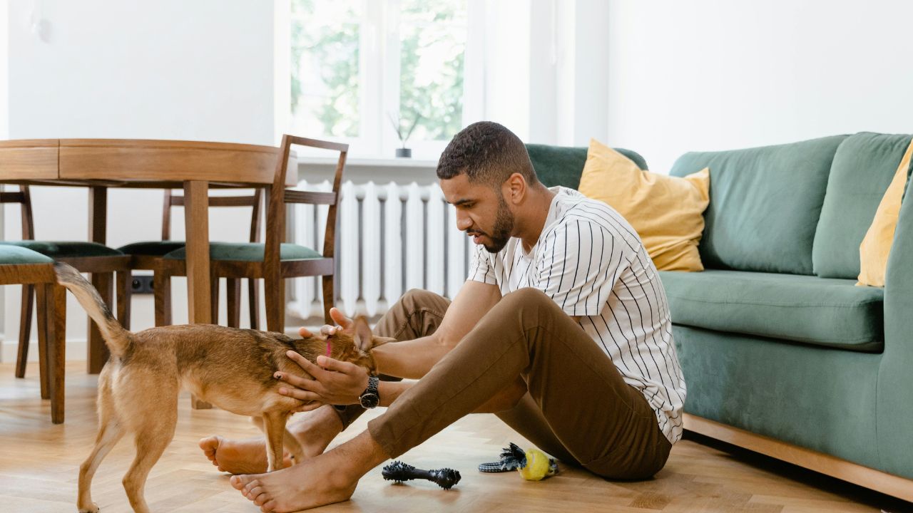 7 Hidden Travel Toxins: What Every Pet Owner Misses When Booking a Rental