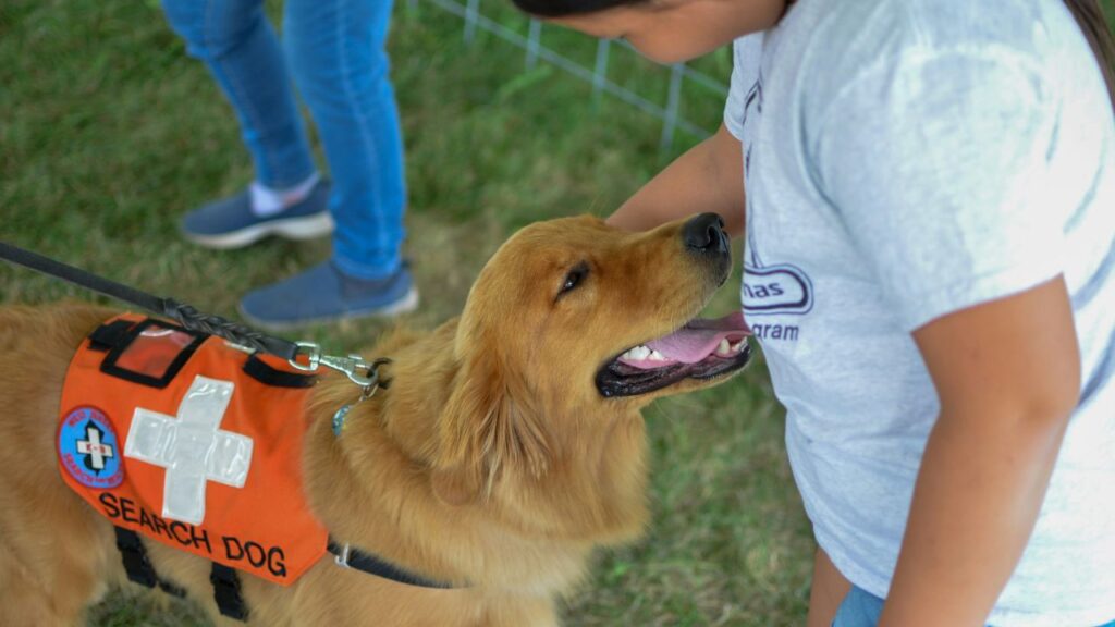 The Service Animal Shift: New 2026 Regulations Every Handler Needs to Know Before Boarding