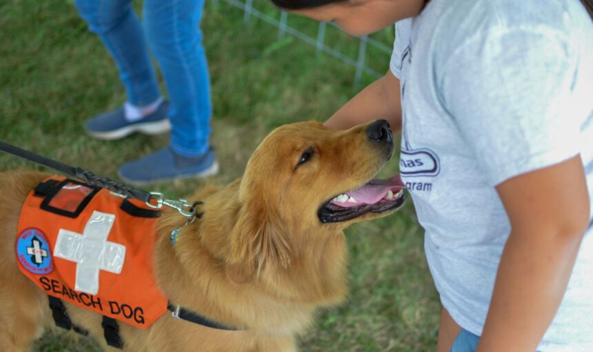 The Service Animal Shift: New 2026 Regulations Every Handler Needs to Know Before Boarding