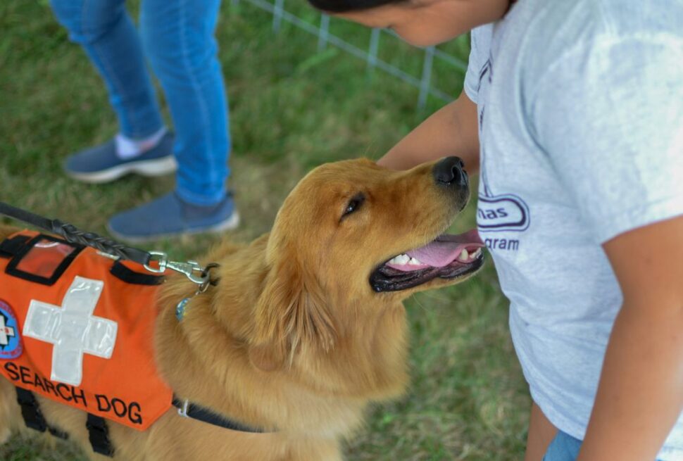 The Service Animal Shift: New 2026 Regulations Every Handler Needs to Know Before Boarding