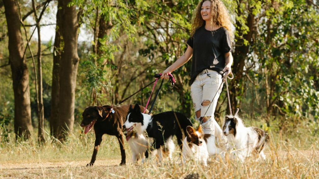 Leash Laws and Liability: Who is Legally Responsible if Your Pet Bites Someone While on Vacation?