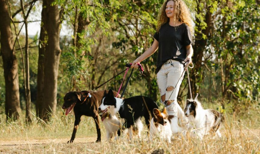 Leash Laws and Liability: Who is Legally Responsible if Your Pet Bites Someone While on Vacation?