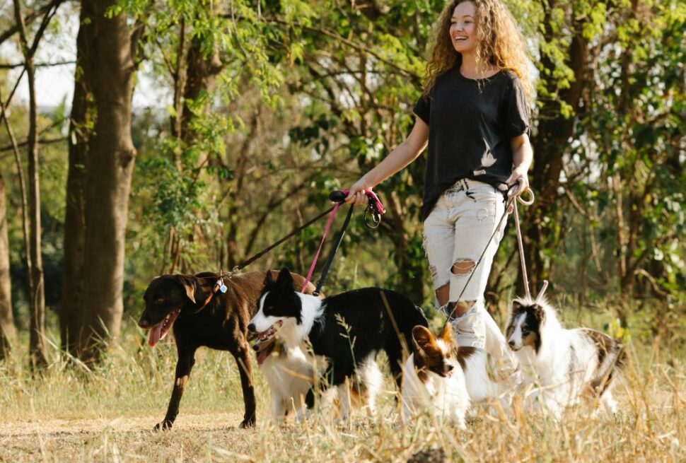 Leash Laws and Liability: Who is Legally Responsible if Your Pet Bites Someone While on Vacation?