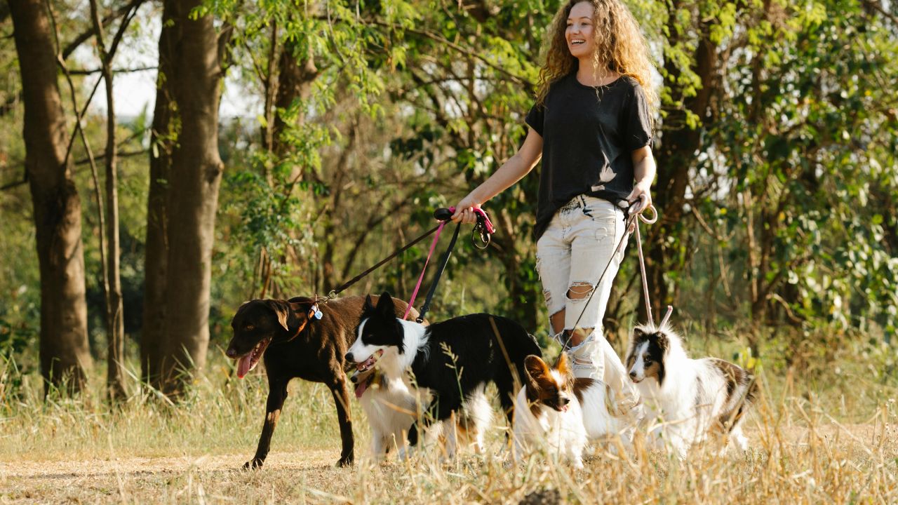 Leash Laws and Liability: Who is Legally Responsible if Your Pet Bites Someone While on Vacation?