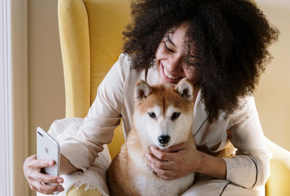 No Paws Allowed? Your Legal Rights When a "Pet-Friendly" Airbnb Turns You Away