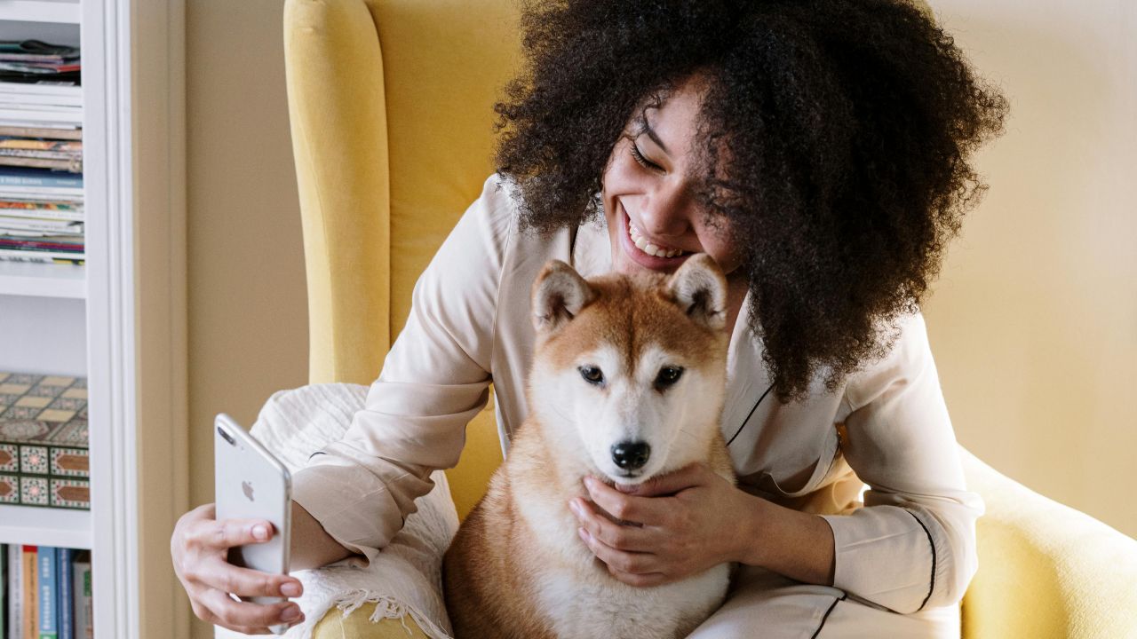 No Paws Allowed? Your Legal Rights When a "Pet-Friendly" Airbnb Turns You Away