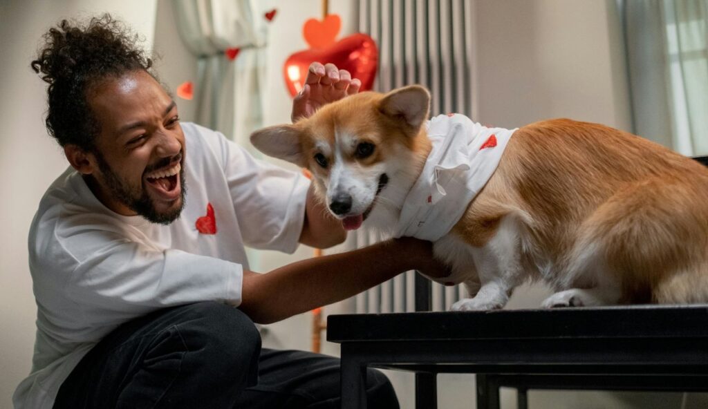 Utilisez des avis et des photos pour découvrir les vraies valeurs des animaux de compagnie