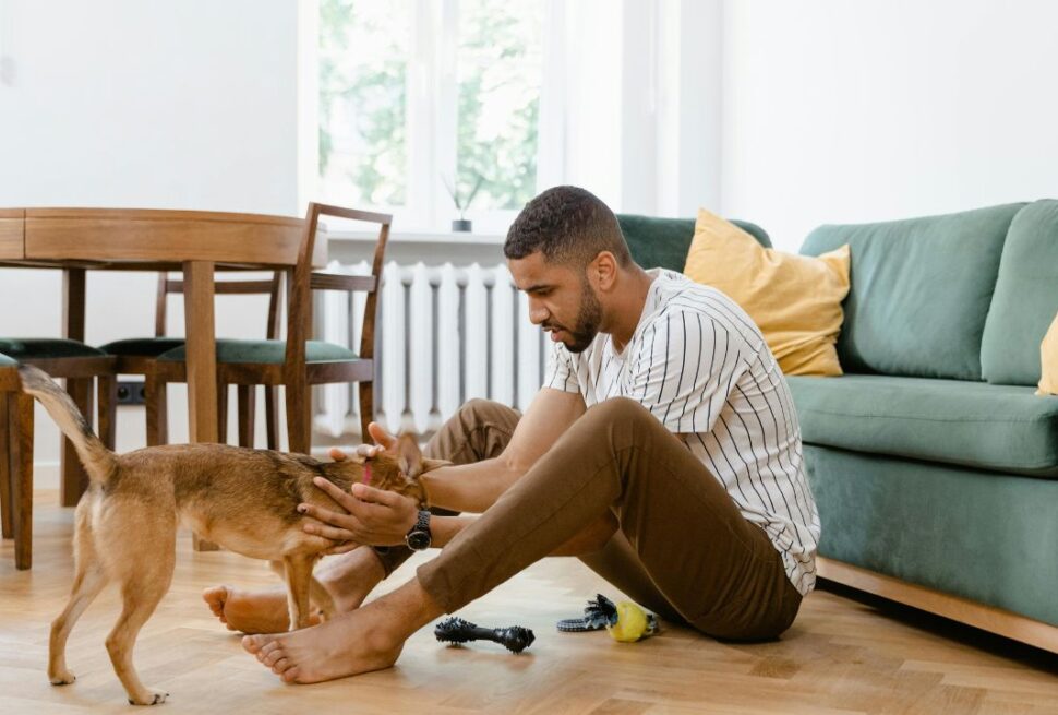 The "Good Boy" Guide: How to Find Truly Pet-Friendly Accommodations (Not Just "Pet-Tolerant")