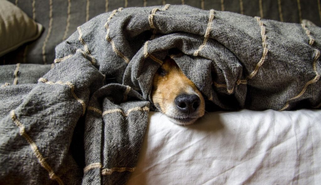 Heat packs: cold-weather support without burns or overheating 