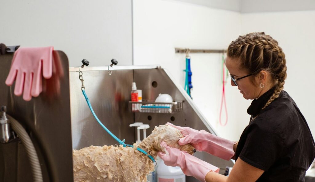 Ce que chaque propriétaire d'animal manque lors de la réservation d'une location – keepthetailwagging.com