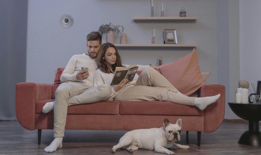 Solo But Supported: The Top 5 Dog Breeds for Single Living (and the One Warning You Can’t Ignore)