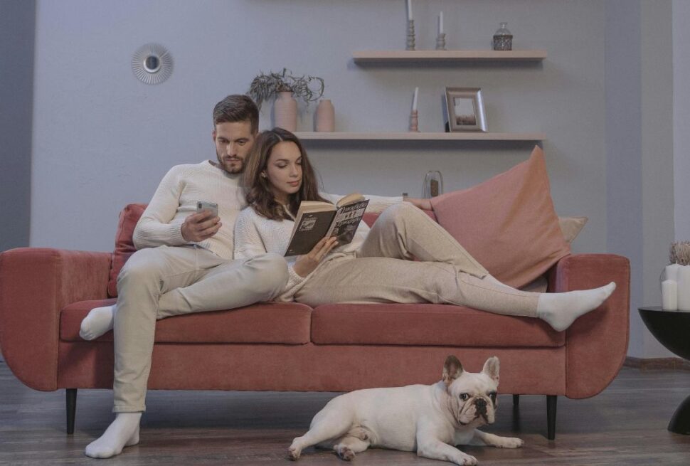 Solo But Supported: The Top 5 Dog Breeds for Single Living (and the One Warning You Can't Ignore)