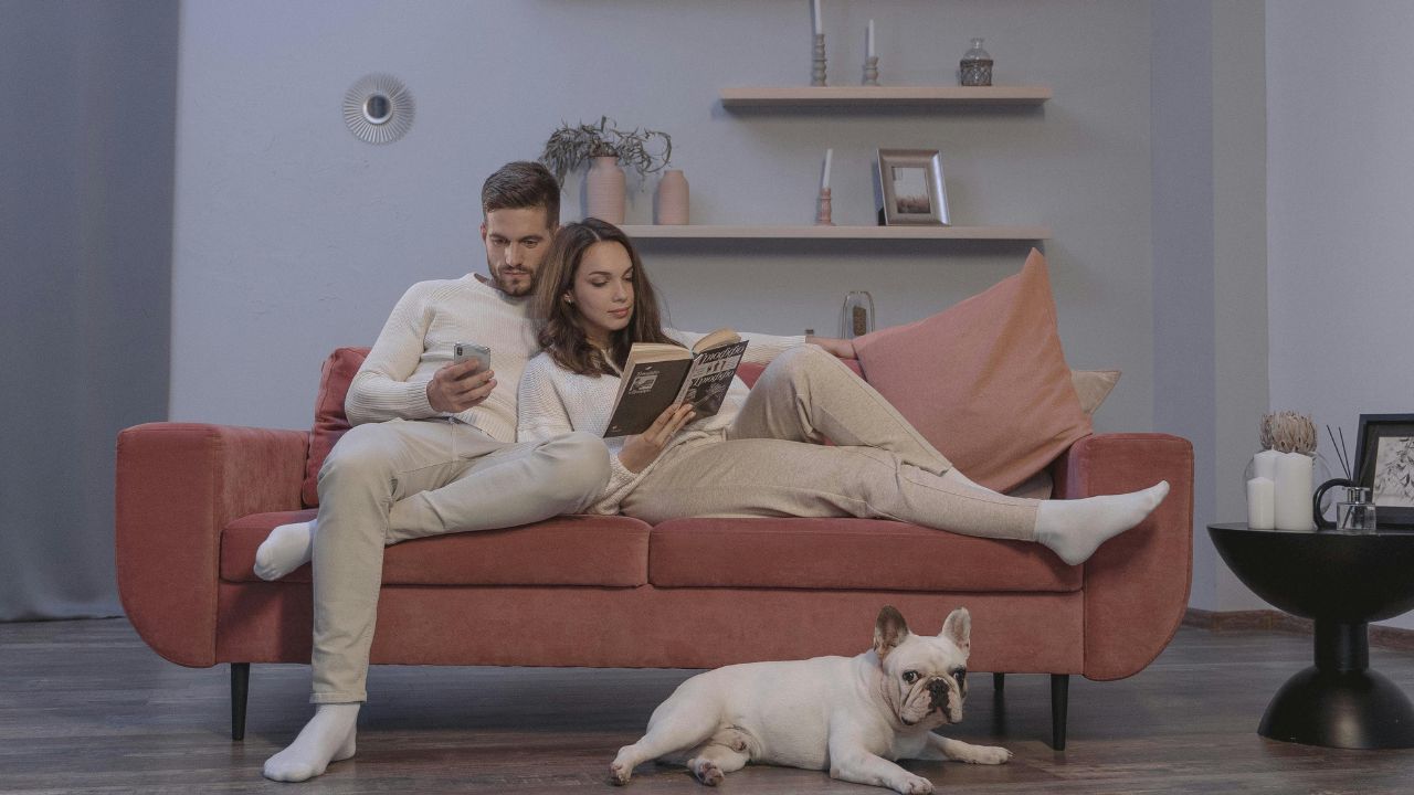 Solo But Supported: The Top 5 Dog Breeds for Single Living (and the One Warning You Can't Ignore)