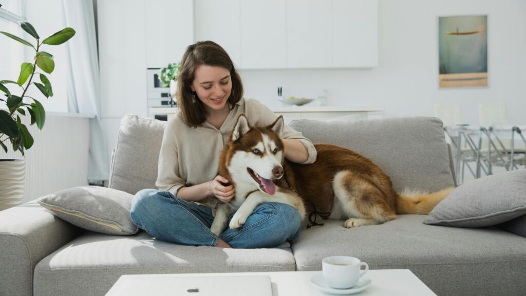 The "Oops" Breeds: Why These 5 Popular Dogs Are Putting Strain on Even the Best Relationships