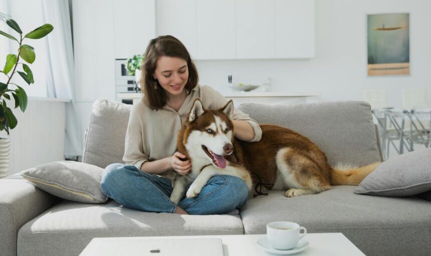 The “Oops” Breeds: Why These 5 Popular Dogs Are Putting Strain on Even the Best Relationships