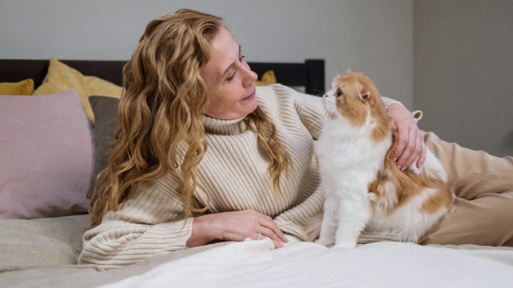 The Forever Kittens: Small Size, Big Heart: 7 Cat Breeds That Maintain Their "Kitten" Look for Life