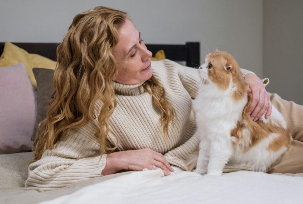 The Forever Kittens: Small Size, Big Heart: 7 Cat Breeds That Maintain Their "Kitten" Look for Life