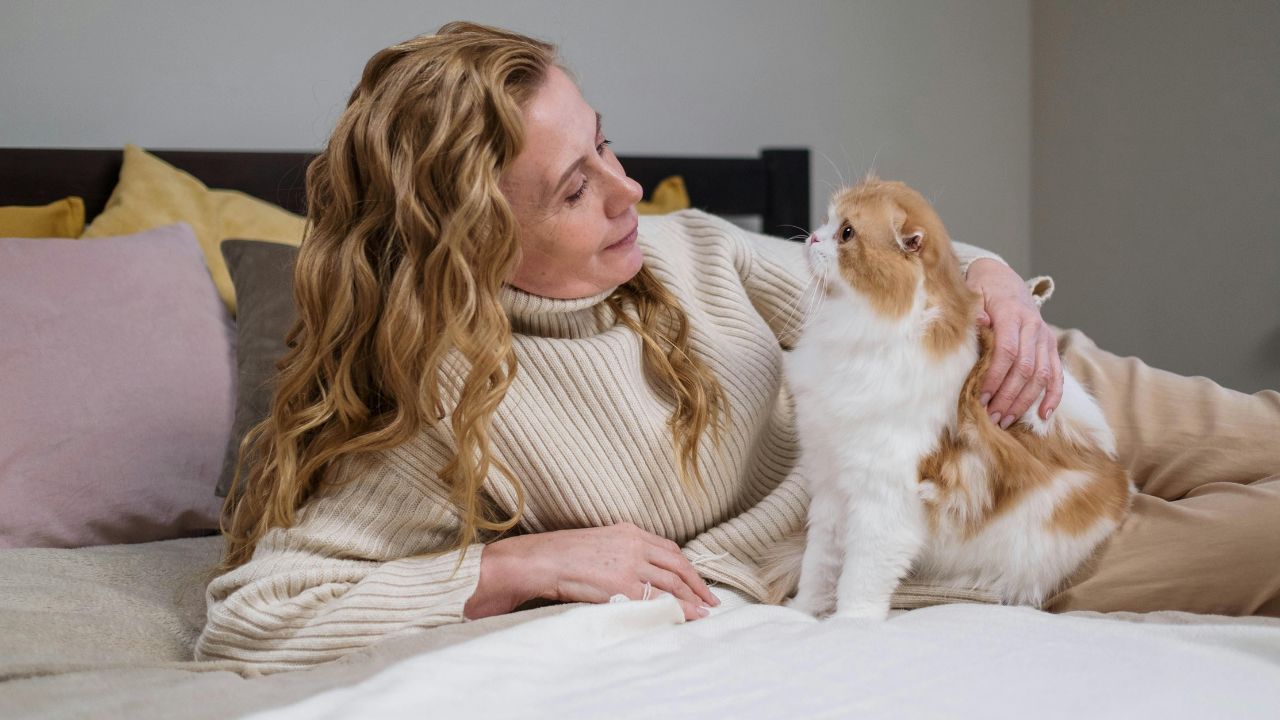 The Forever Kittens: Small Size, Big Heart: 7 Cat Breeds That Maintain Their "Kitten" Look for Life