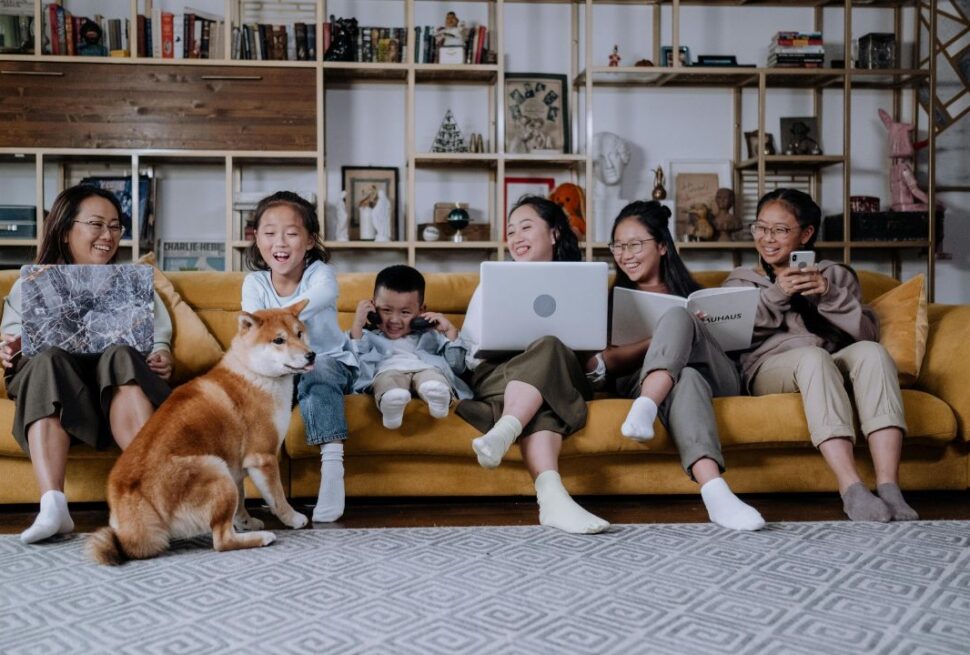 Generational Paws: Boomer vs. Gen Z: The Surprising Divide in How We Really Treat Our Pets