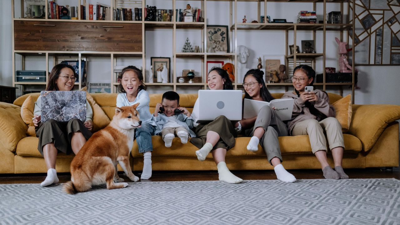 Generational Paws: Boomer vs. Gen Z: The Surprising Divide in How We Really Treat Our Pets