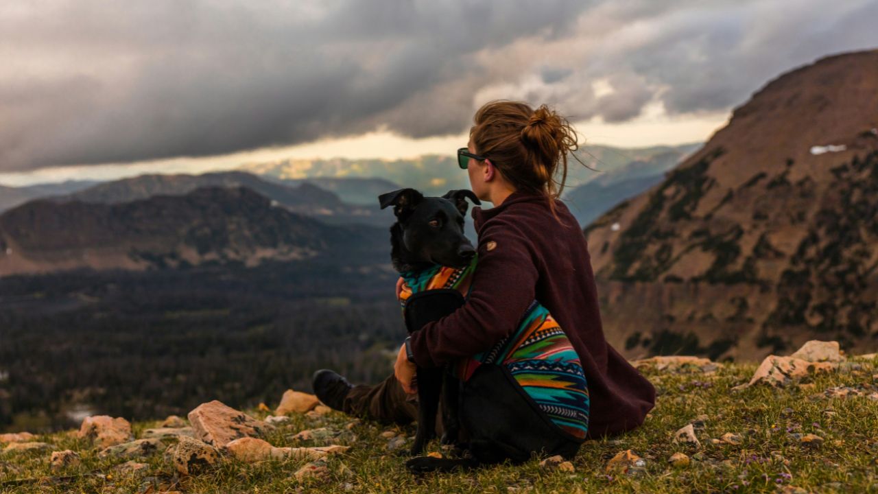 Trailblazing Queens: Hiking, High Peaks, and Hounds: The Ultimate Guide to Women’s Solo Pet-Friendly Treks
