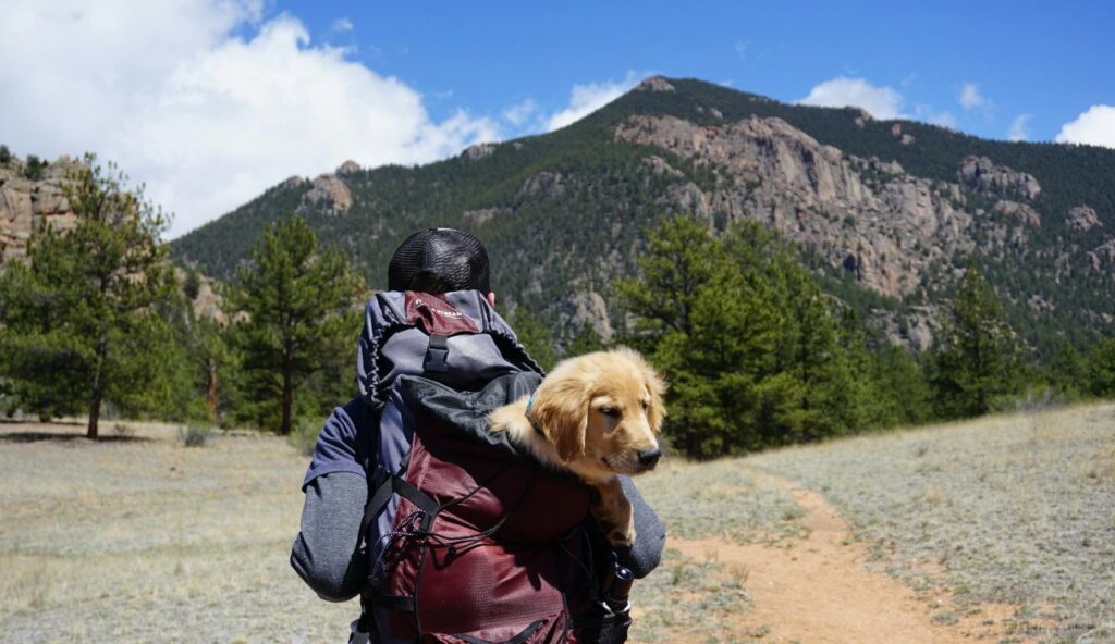 Un équipement qui protège sans vous ralentir