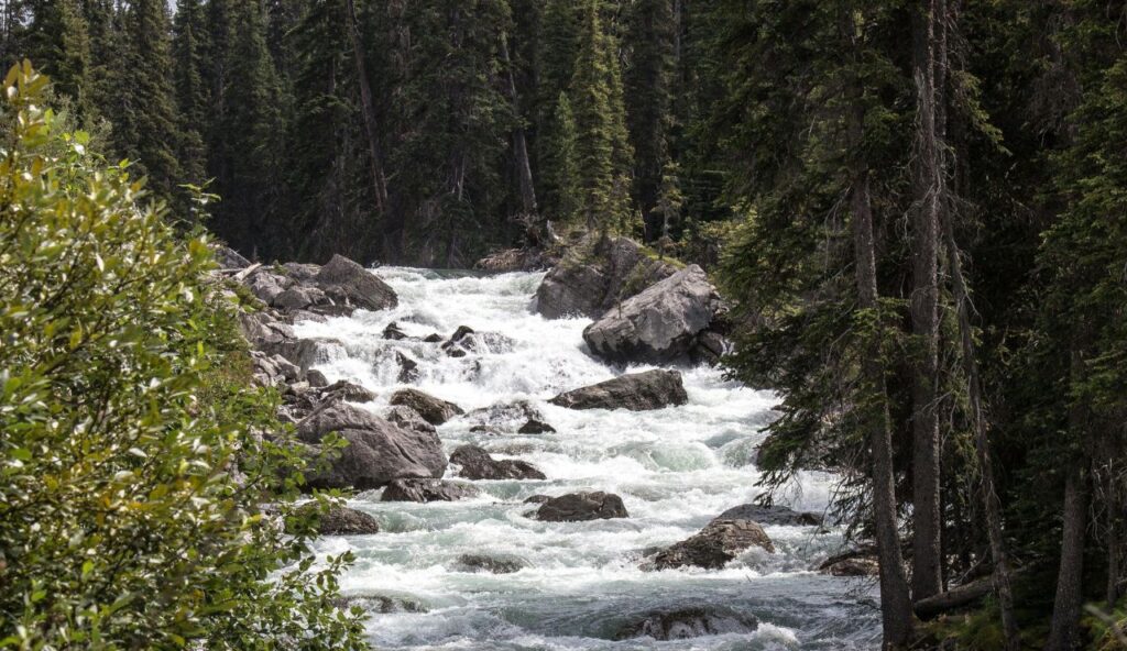 Chutes cachées, lac Jenny, parc national de Grand Teton, Wyoming
