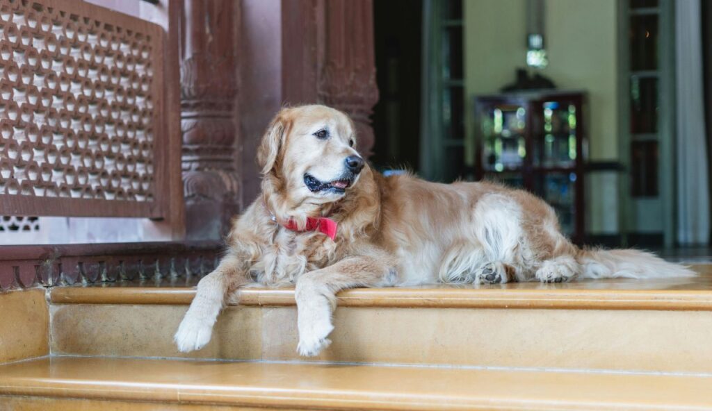 The Little Nell, Aspen