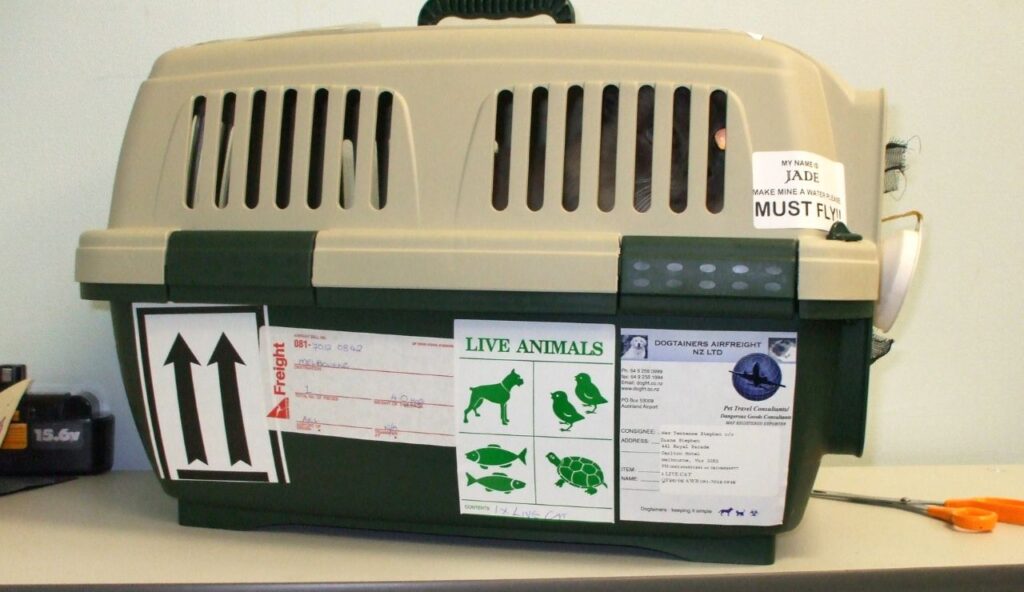 Permits, Health Certificates, and Airline Rules for Non-Traditional Pets