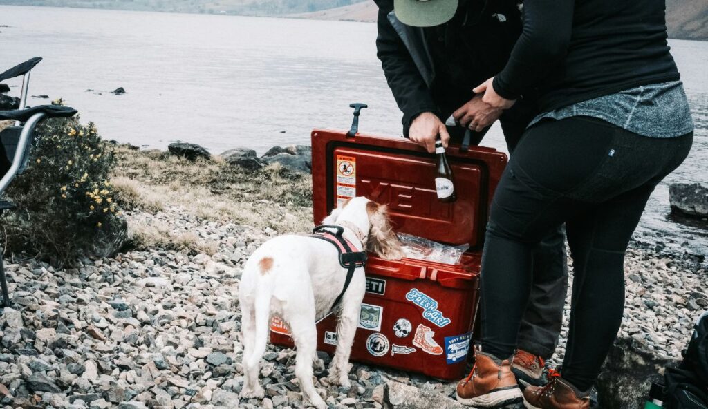 Insulated container: small cooler or Styrofoam-lined box 