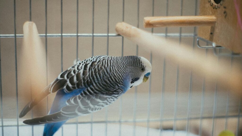 Cold-Blooded Commuting: The Essential Kit for Keeping Exotic Pets Happy on the Move