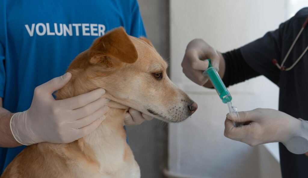 Forms, vaccines, and the 48-hour trap