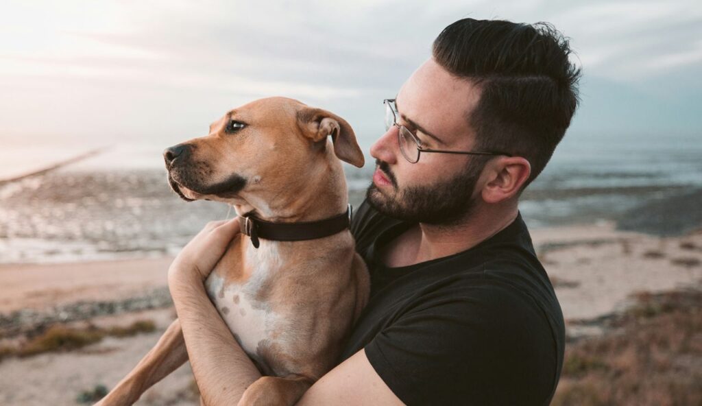 Who can be responsible besides the dog owner?