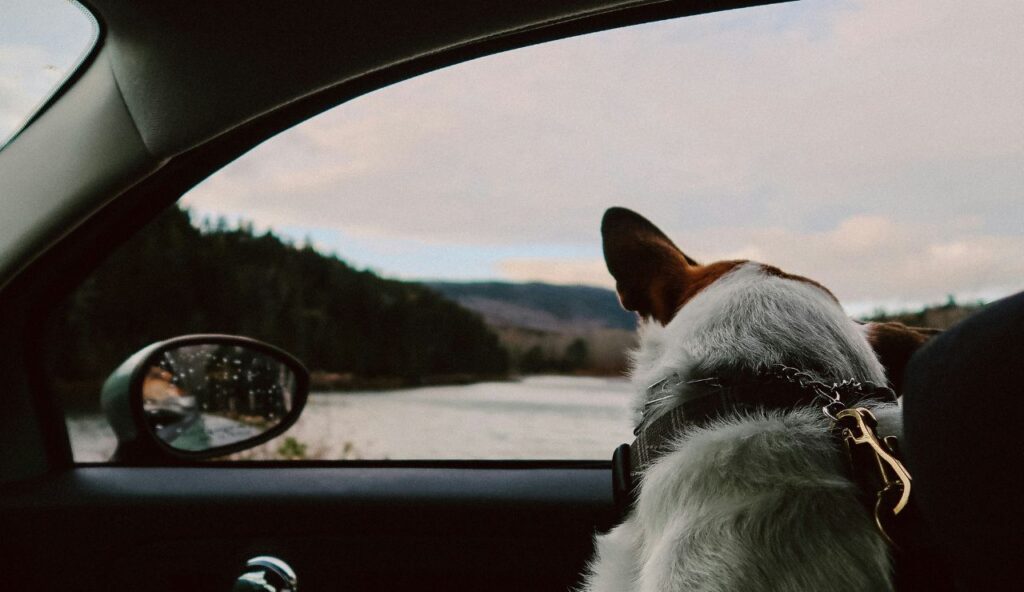 How to reduce risk before and during travel