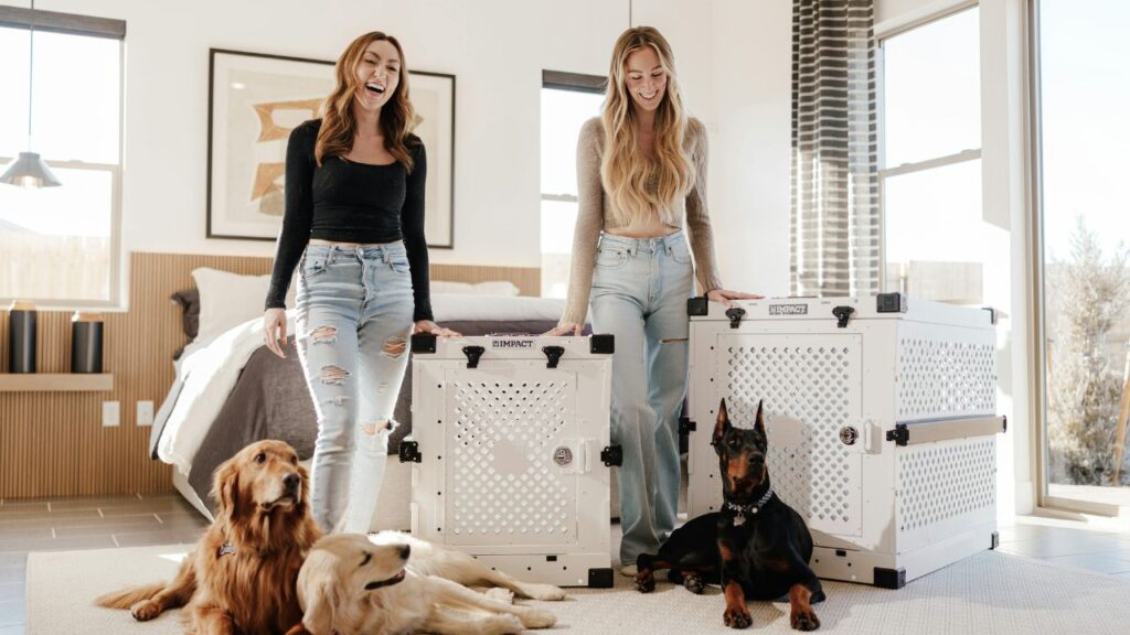 Air Tags Aren't Enough: The New 2026 Smart-Safety Kit Every Pet Traveler Needs