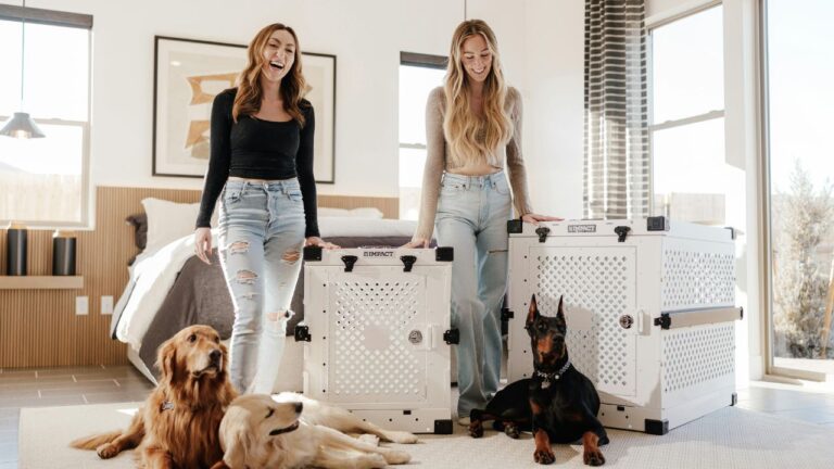 Air Tags Aren't Enough: The New 2026 Smart-Safety Kit Every Pet Traveler Needs