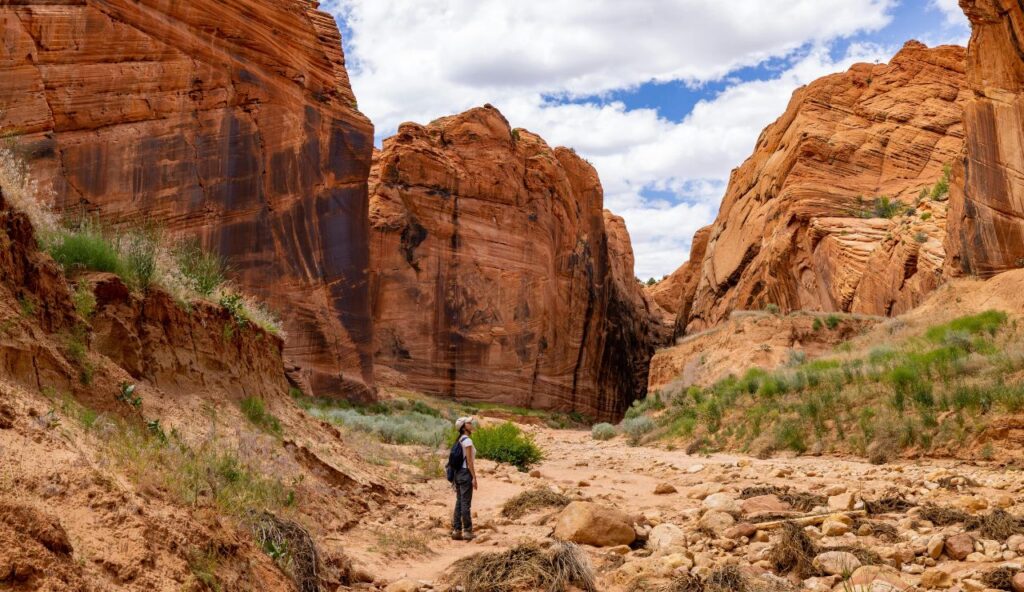 Vivez le frisson sans faire d'exercice – keepthetailwagging.com