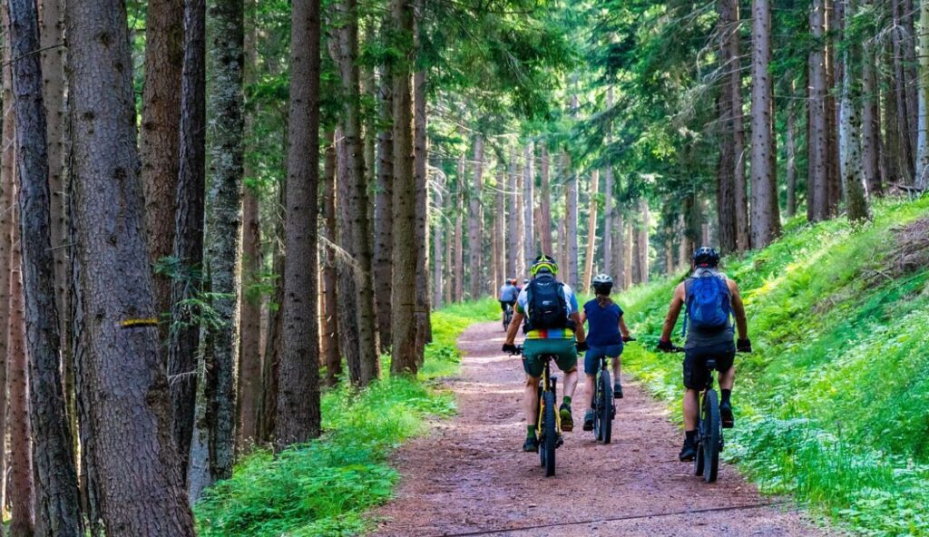 Aventure guidée panoramique en vélo électrique