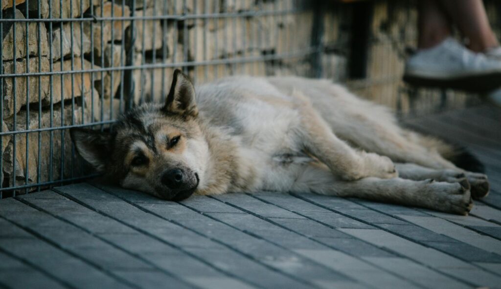 Slowing Down or Lagging Behind