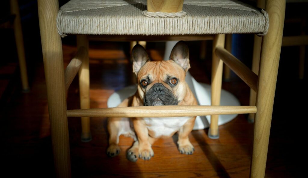 Unusual Irritability or Withdrawal