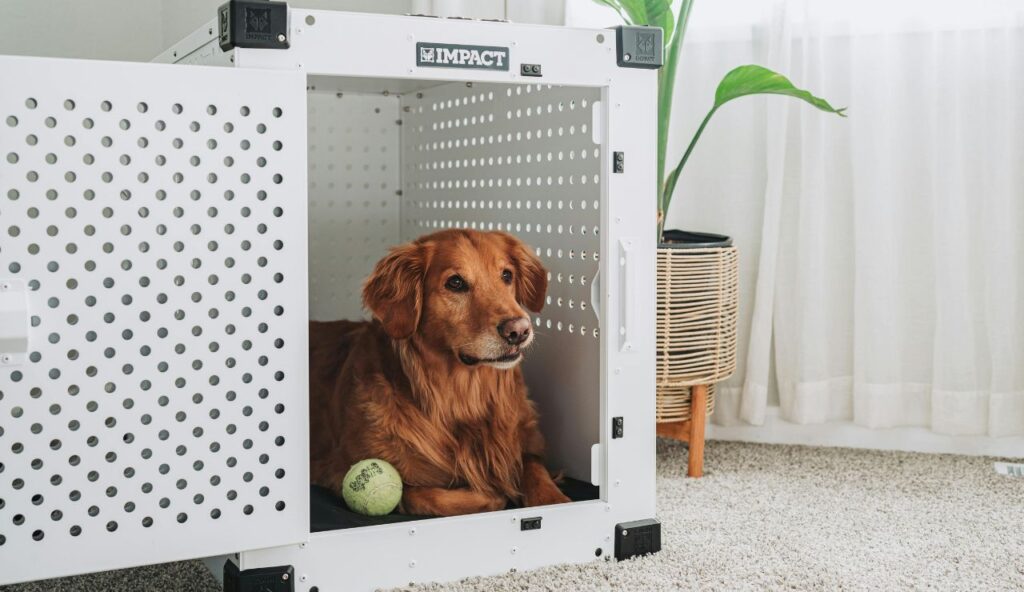 Limited Access Areas With Penalty Charges