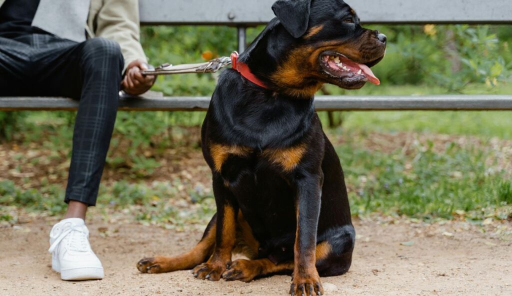 Diminution de l’intérêt pour l’interaction