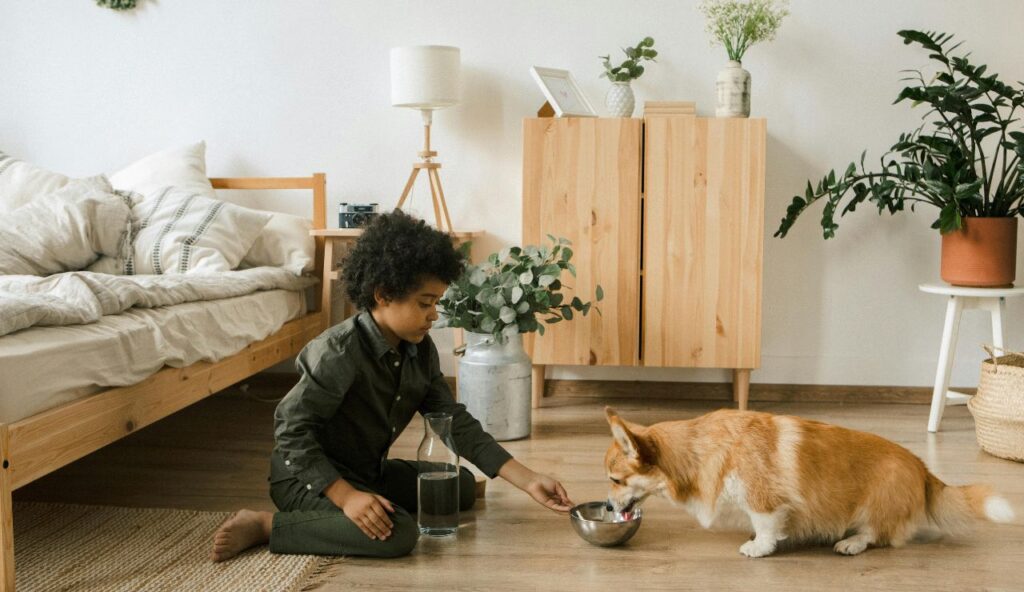 Comment trouver des hébergements véritablement acceptant les animaux de compagnie (pas seulement « tolérants aux animaux ») – keepthetailwagging.com