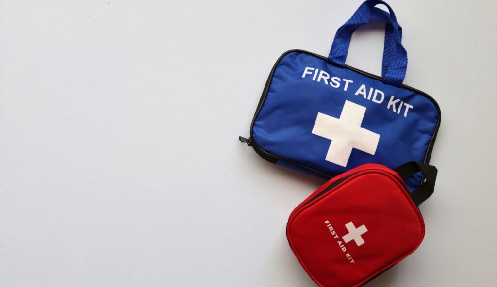 Pet First Aid Kit Tailored to Your Destination
