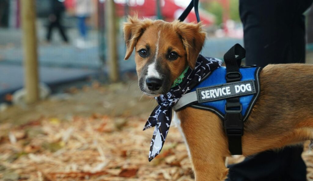 How to Prepare Your Documents for Stress-Free Travel