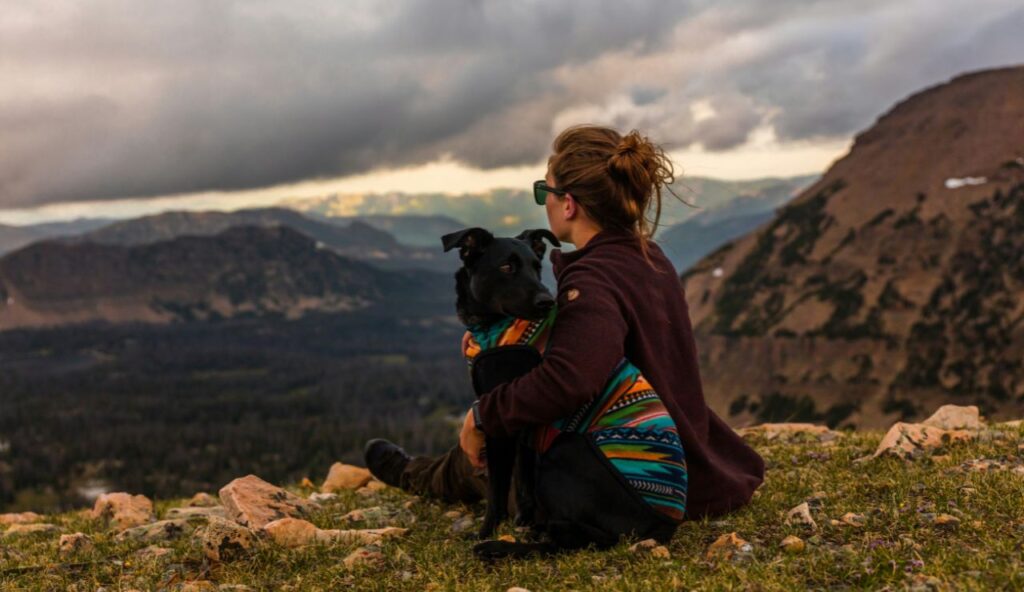 11 expéditions difficiles où votre chien est le meilleur copilote – keepthetailwagging.com