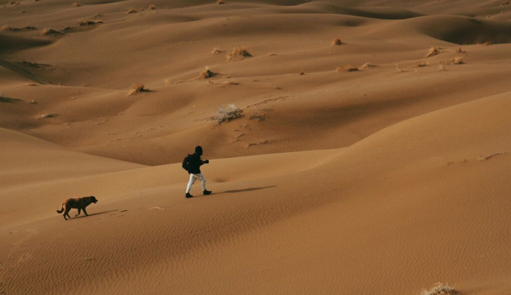 Randonnée dans le désert à ciel ouvert